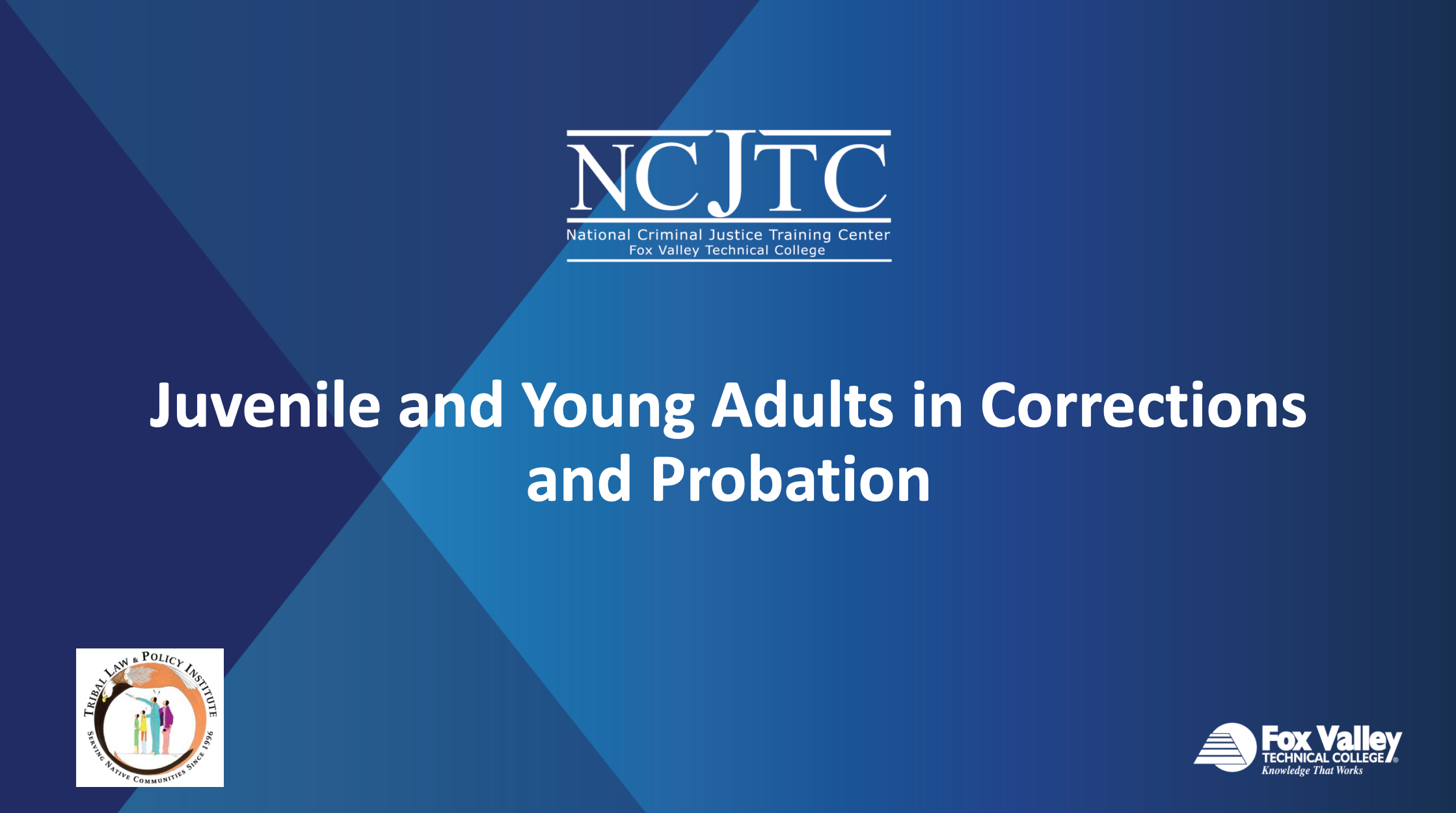 Juvenile and Young Adult Webinar