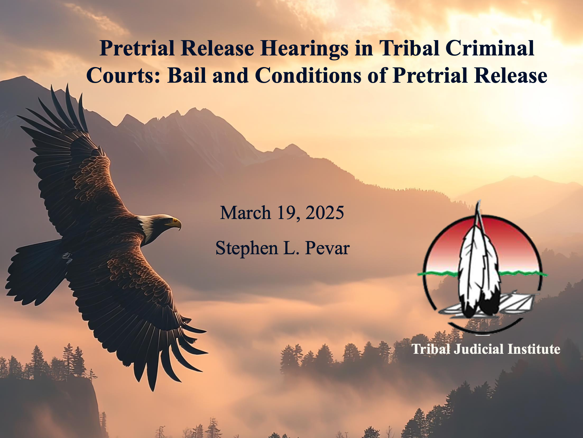 Pretrial Release Hearing Webinar